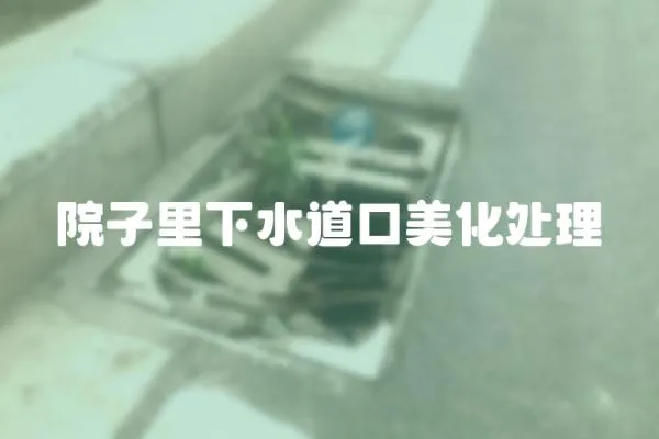 院子里下水道口美化處理