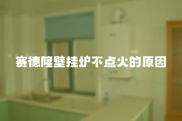 賽德隆壁掛爐不點火的原因