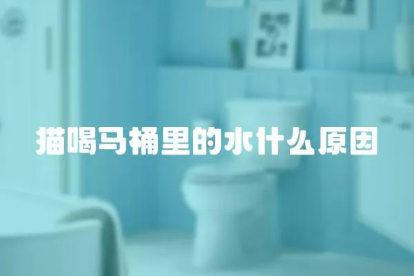 貓喝馬桶里的水什么原因
