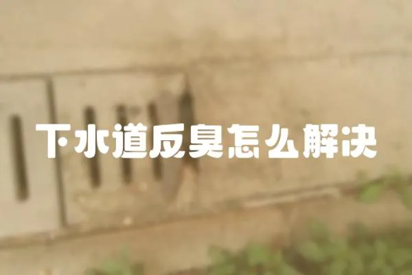 下水道反臭怎么解決