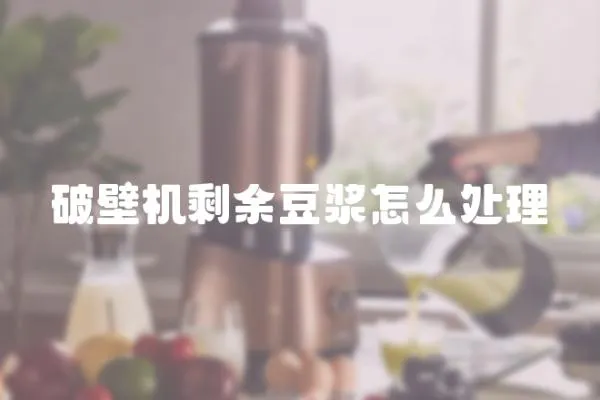 破壁機剩余豆漿怎么處理