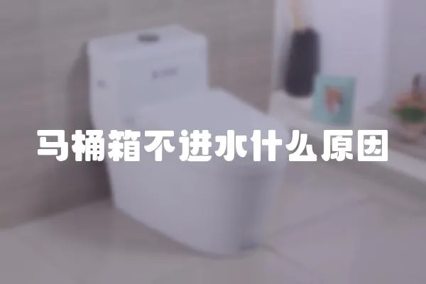 馬桶箱不進水什么原因