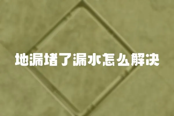 地漏堵了漏水怎么解決