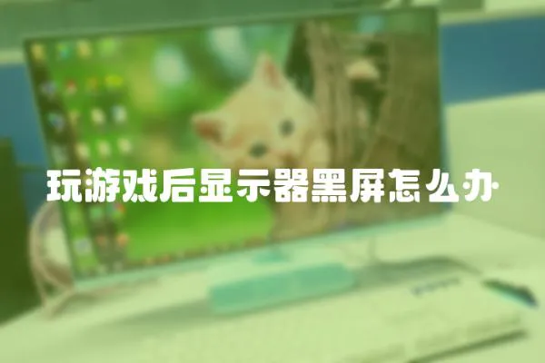 玩游戲后顯示器黑屏怎么辦