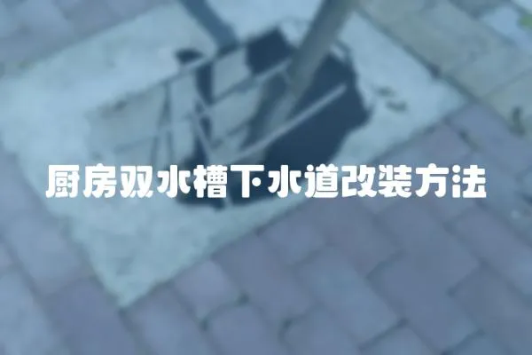 廚房雙水槽下水道改裝方法