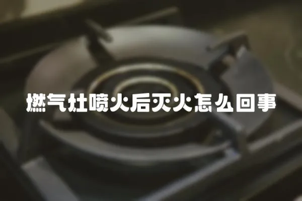 燃氣灶噴火后滅火怎么回事