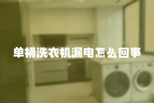 單桶洗衣機漏電怎么回事