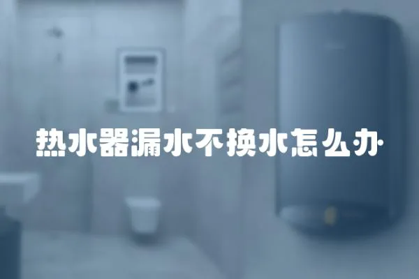 熱水器漏水不換水怎么辦