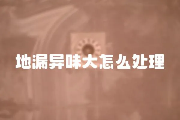 地漏異味大怎么處理