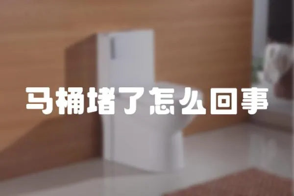 馬桶堵了怎么回事