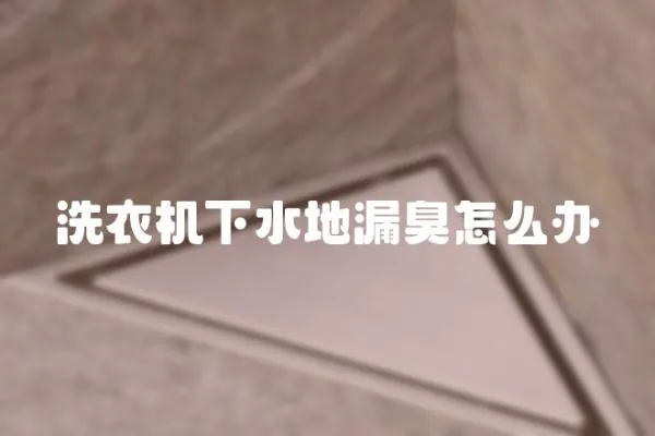 洗衣機下水地漏臭怎么辦