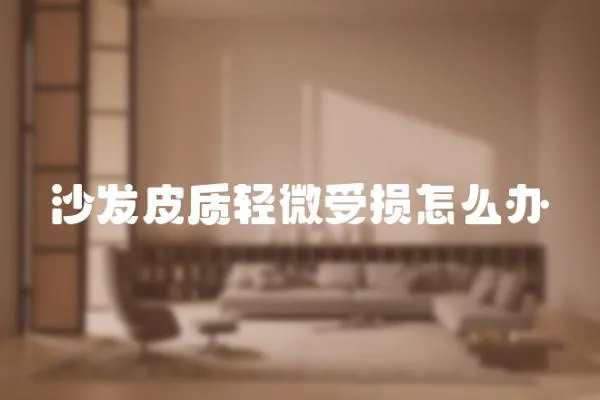 沙發皮質輕微受損怎么辦