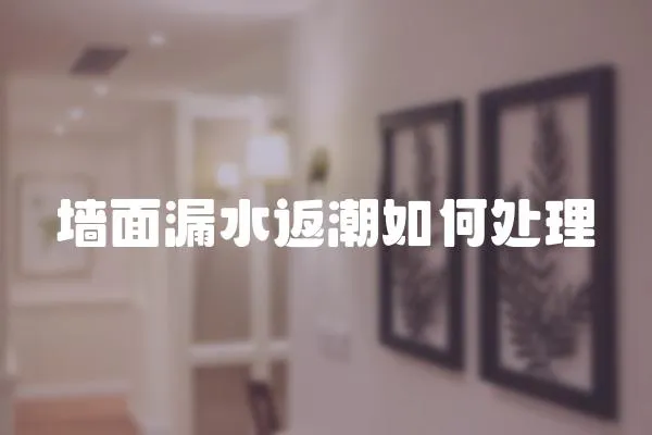 墻面漏水返潮如何處理