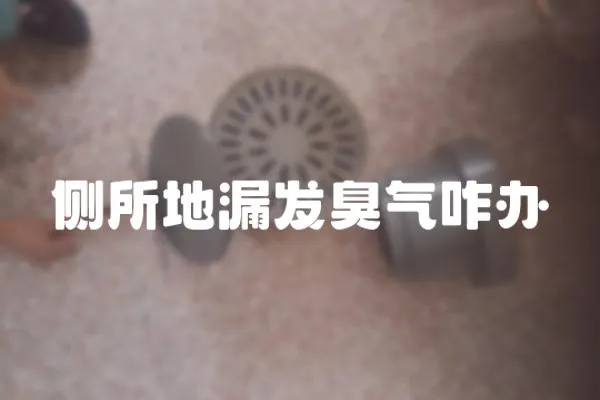 側所地漏發臭氣咋辦