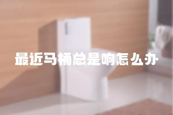 最近馬桶總是響怎么辦