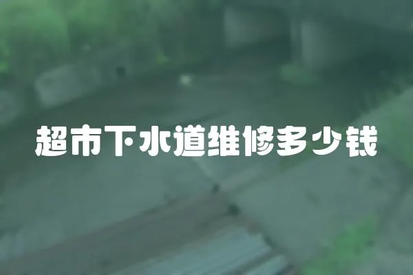 超市下水道維修多少錢
