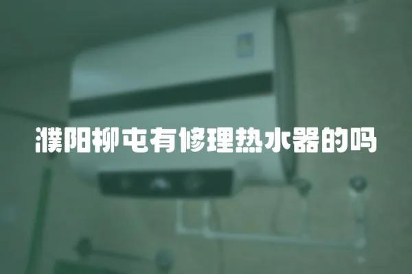 濮陽柳屯有修理熱水器的嗎