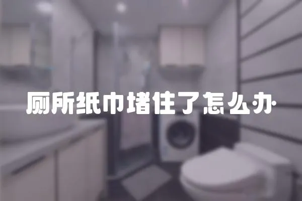 廁所紙巾堵住了怎么辦