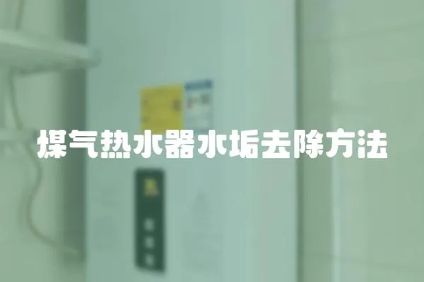 煤氣熱水器水垢去除方法