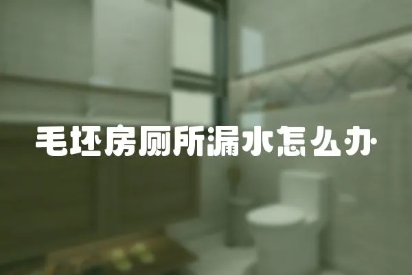 毛坯房廁所漏水怎么辦