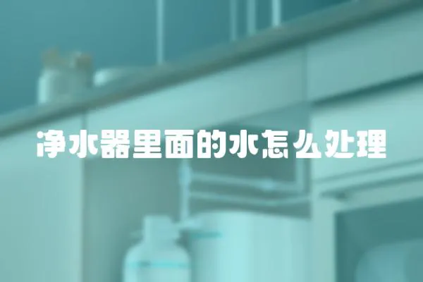 凈水器里面的水怎么處理
