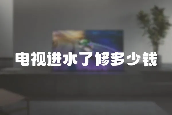電視進水了修多少錢