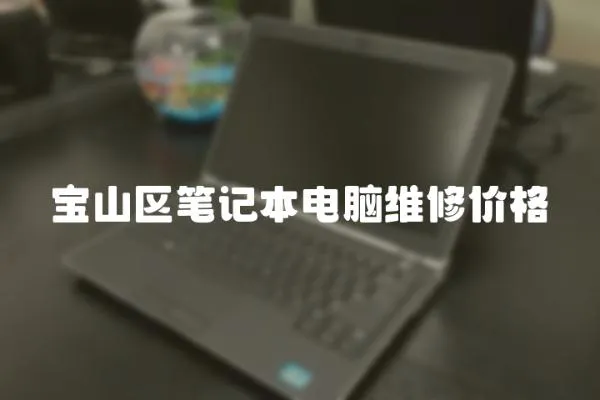 寶山區(qū)筆記本電腦維修價格