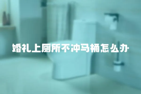 婚禮上廁所不沖馬桶怎么辦