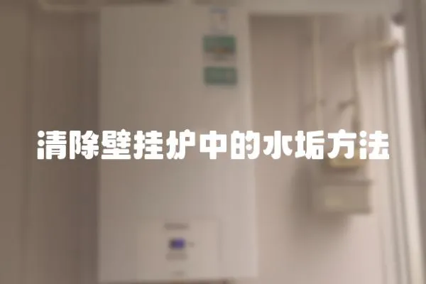 清除壁掛爐中的水垢方法