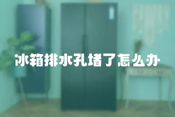 冰箱排水孔堵了怎么辦