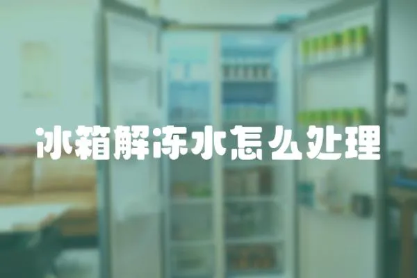 冰箱解凍水怎么處理