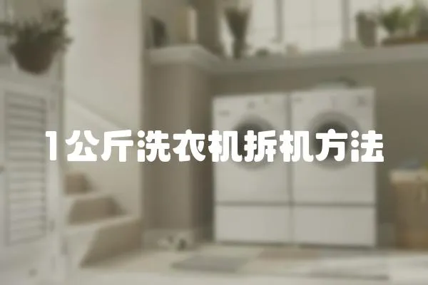 1公斤洗衣機拆機方法