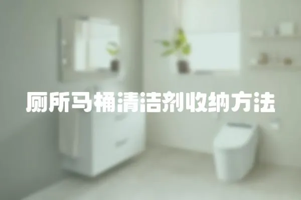 廁所馬桶清潔劑收納方法