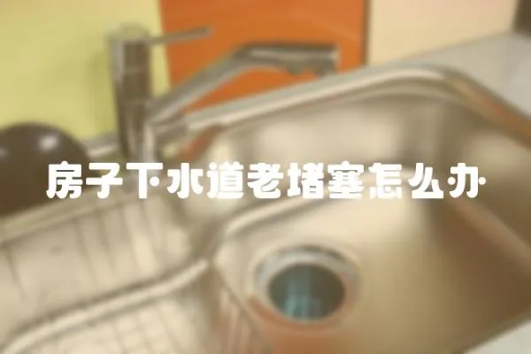 房子下水道老堵塞怎么辦