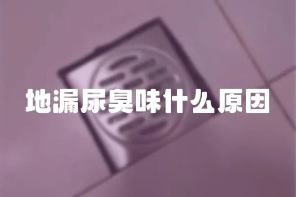 地漏尿臭味什么原因