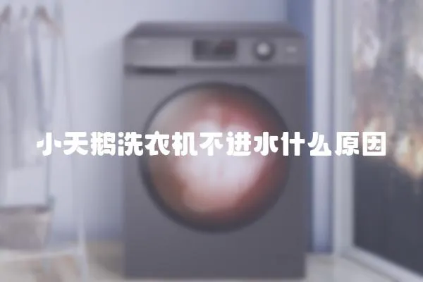 小天鵝洗衣機不進水什么原因