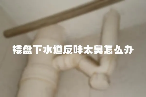 樓盤下水道反味太臭怎么辦