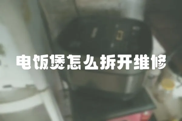電飯煲怎么拆開維修