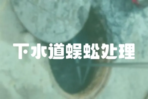 下水道蜈蚣處理