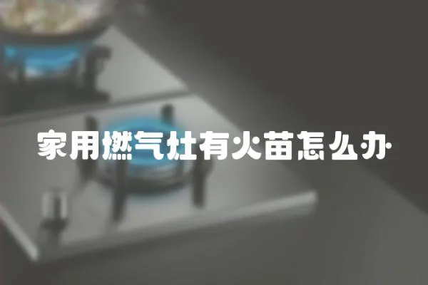 家用燃氣灶有火苗怎么辦