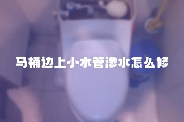 馬桶邊上小水管滲水怎么修