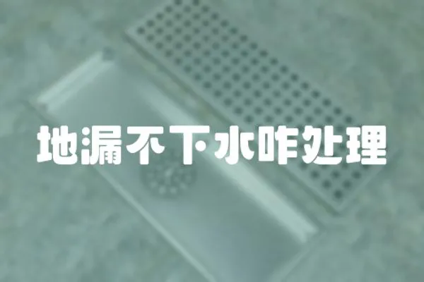 地漏不下水咋處理