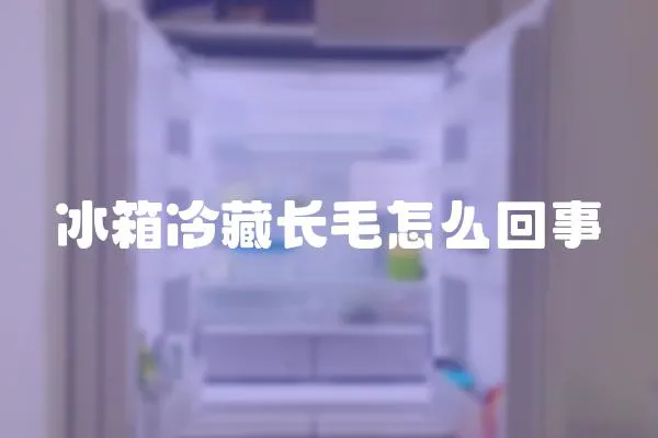 冰箱冷藏長毛怎么回事
