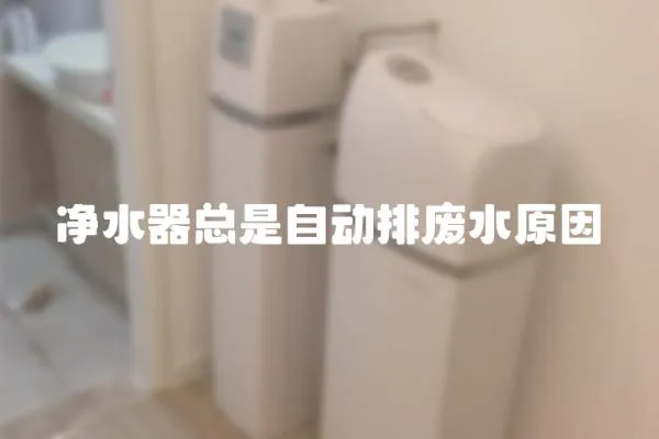 凈水器總是自動(dòng)排廢水原因