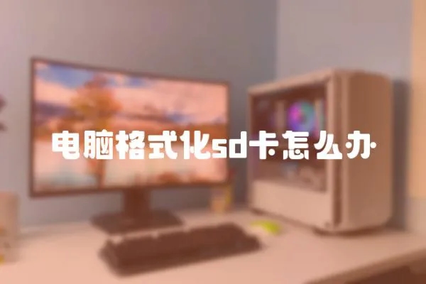 電腦格式化sd卡怎么辦