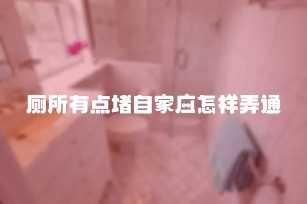 廁所有點堵自家應怎樣弄通