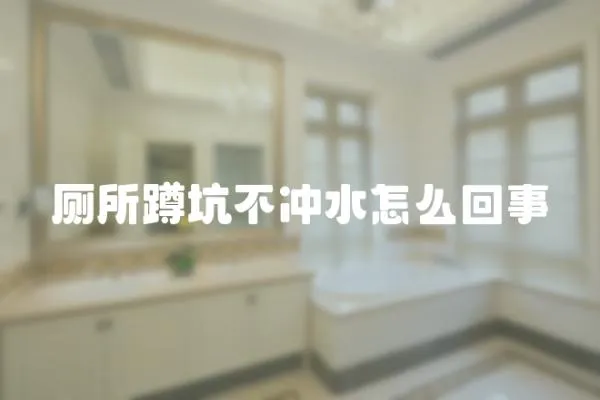 廁所蹲坑不沖水怎么回事