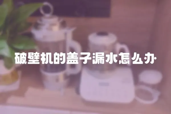 破壁機的蓋子漏水怎么辦