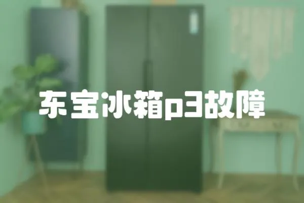 東寶冰箱p3故障