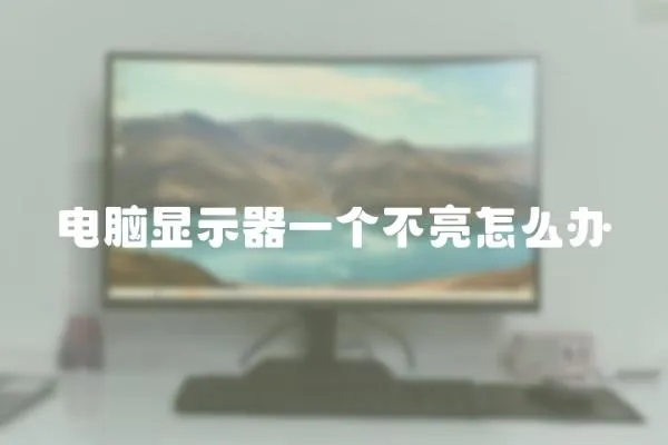 電腦顯示器一個不亮怎么辦